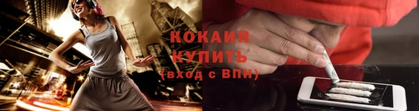 крисы Бронницы