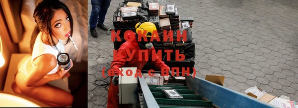 крисы Бронницы