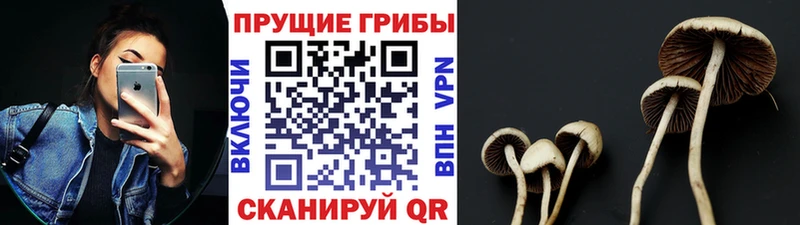 Псилоцибиновые грибы мицелий  Невьянск 